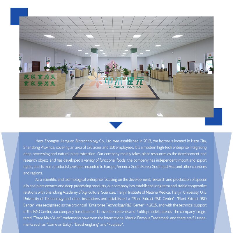 Perilla Extract Powder Supplier - Bulk Herbal Folium Perillae