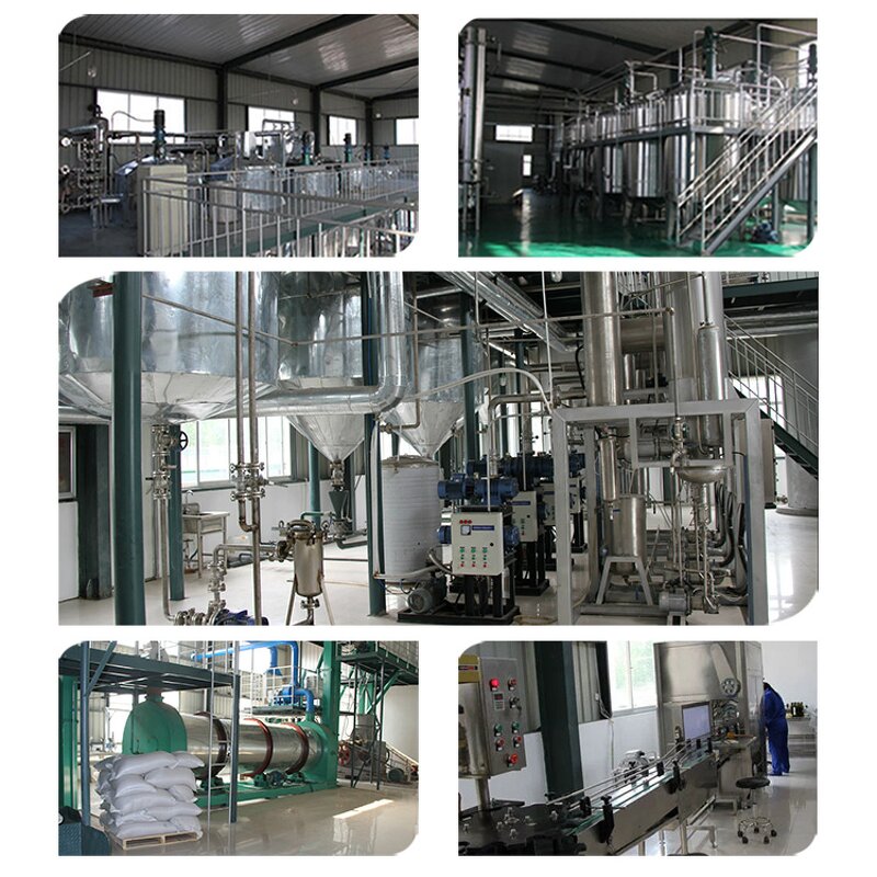 Safflower Seed Oil Powder Factory - Source Factory Direct Supply