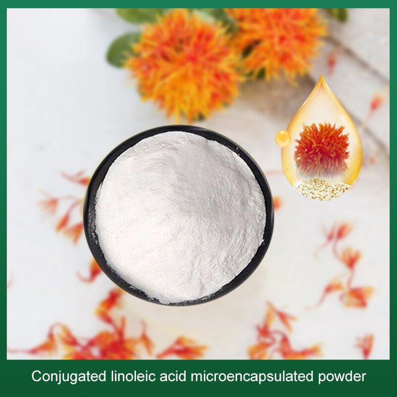 Conjugated Linoleic Acid Powder Factory - 80% Pure Bulk Supply