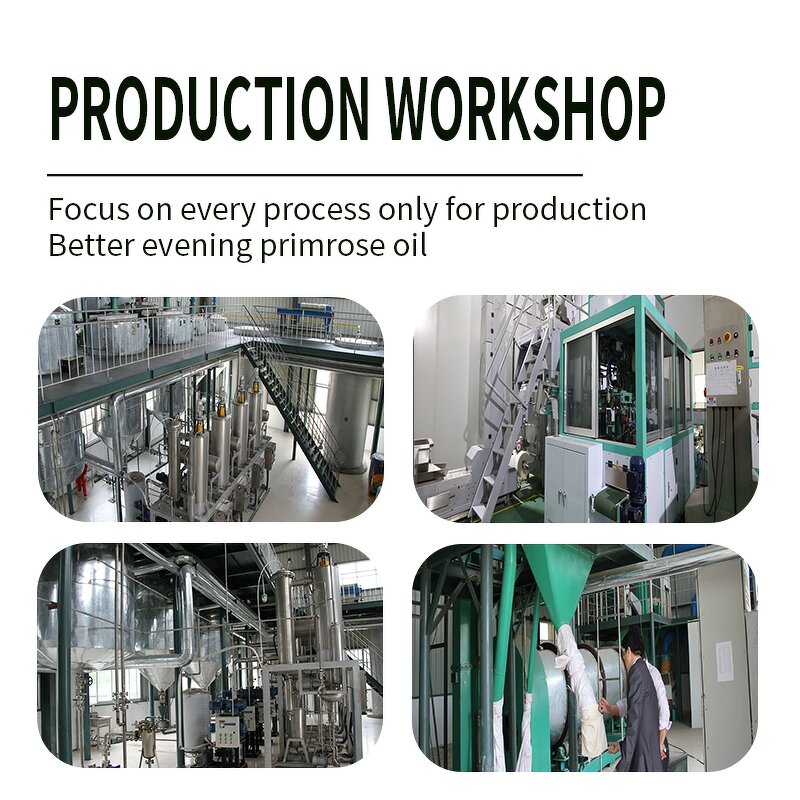 Evening Primrose Oil Soft Capsules Manufacturer - OEM/ODM Food Grade