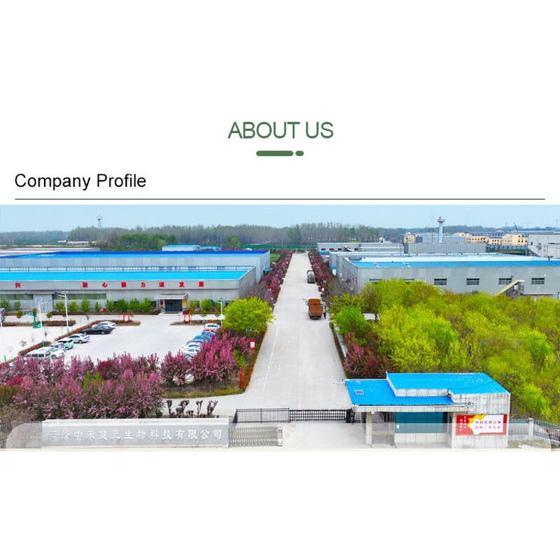 Evening Primrose Oil Softgels Factory - Herbal Extract Capsules