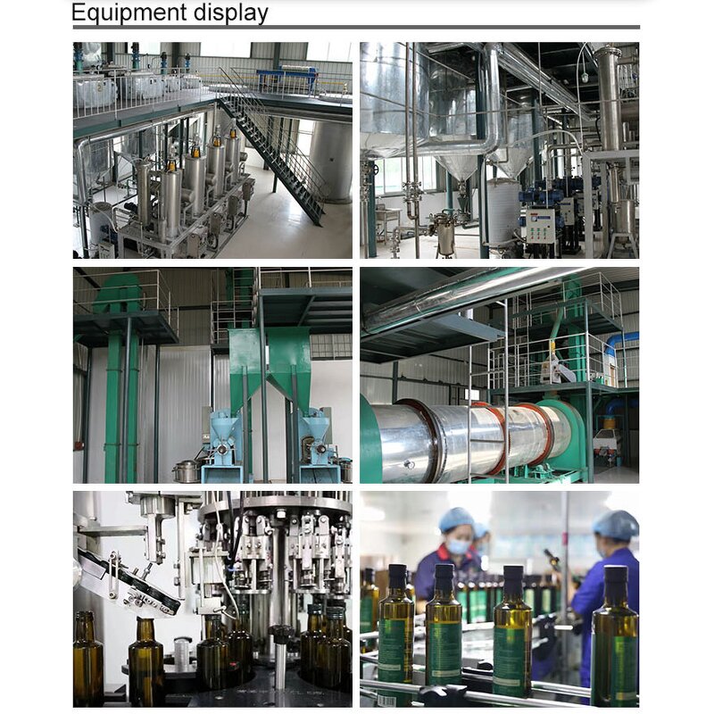 Safflower Seed Oil Extract Factory - Herbal Fatty Acid Powder