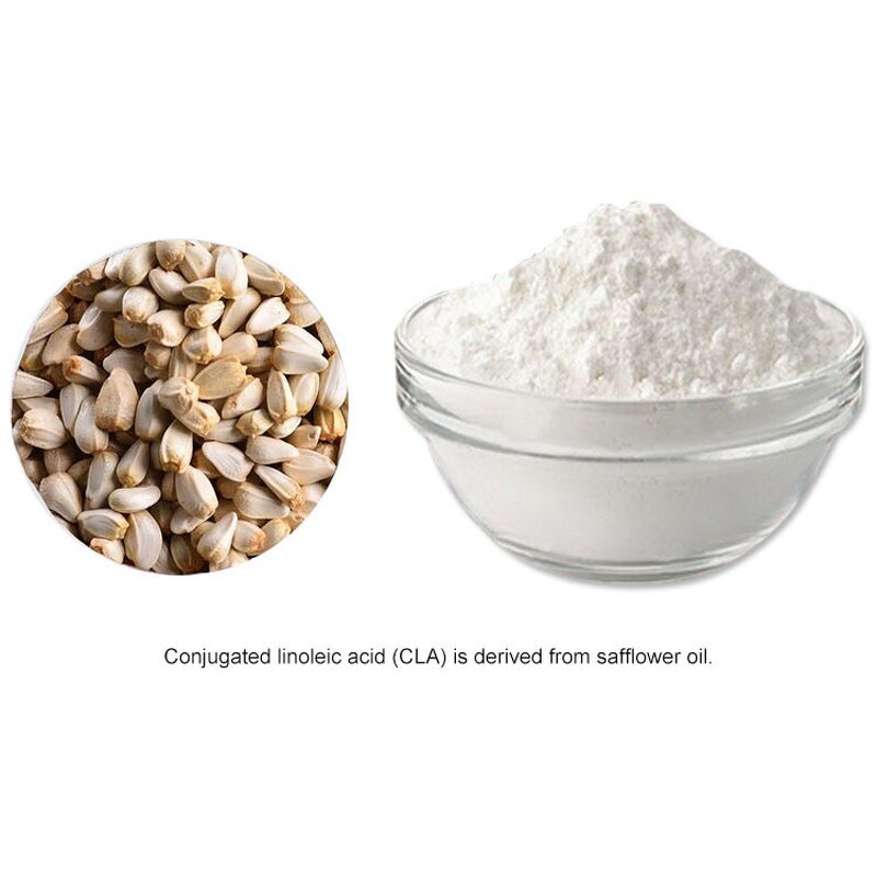 Food Grade CLA Powder Manufacturer - Herbal Conjugated Linoleic Acid