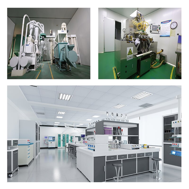 Acer Truncatum Seed Oil Factory - Nervonic Acid Plant Extract