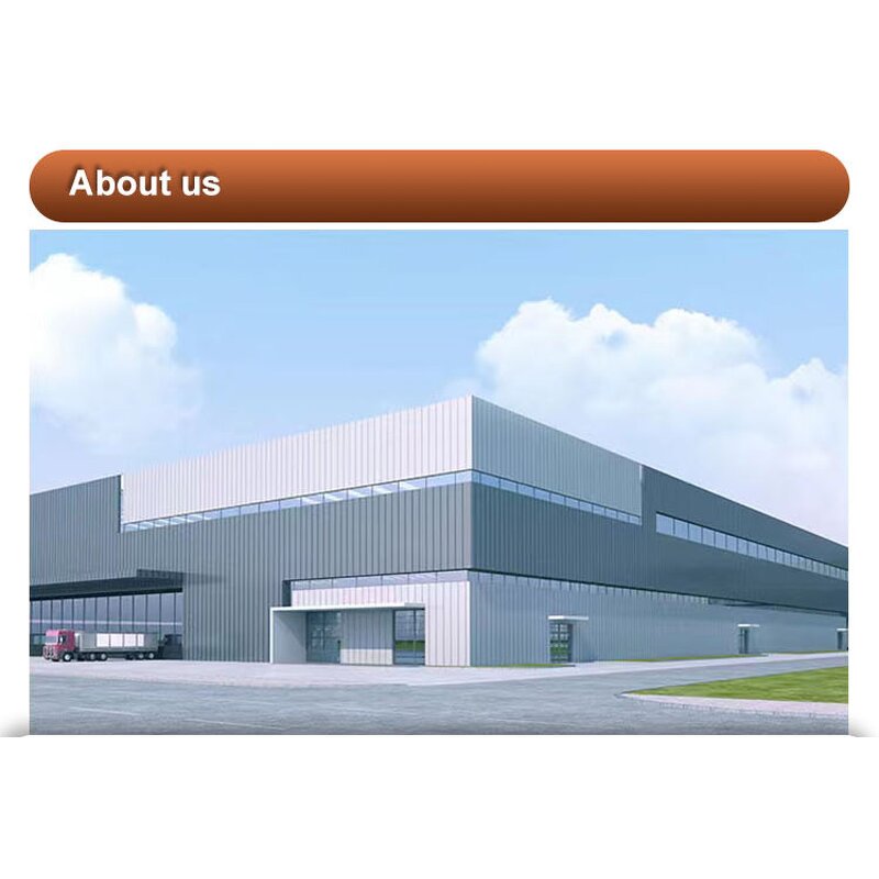 Sea Buckthorn Fruit Extract Factory - Food Grade Anthocyanidins