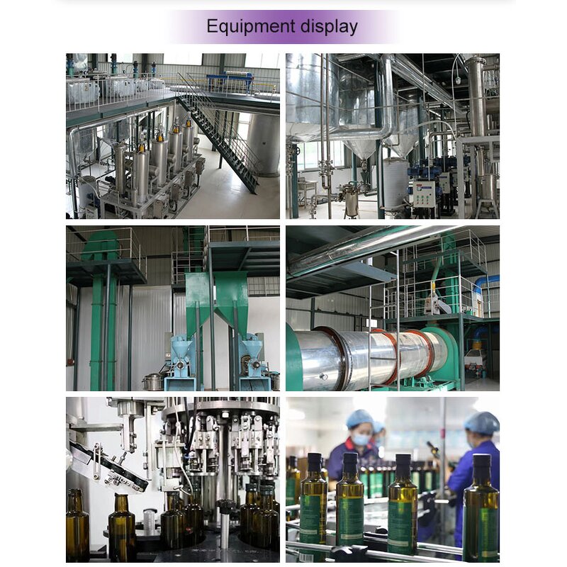 Aloe Vera Extract Manufacturer - Bulk Food Grade Herbal Extract