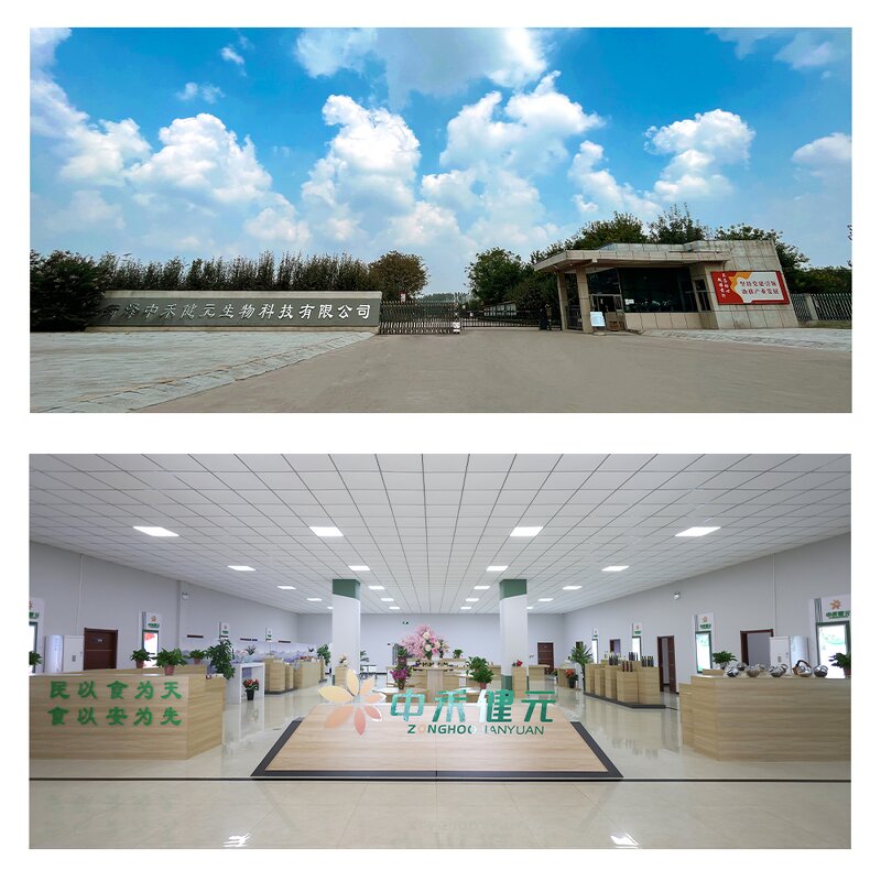 Maple Seed Oil Manufacturer - Nervonic Acid Acer Truncatum Seed Oil