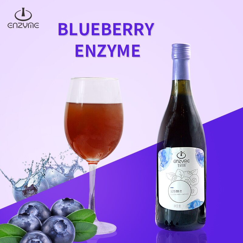 Blueberry Enzyme Supplier - High Quality Fresh Fruit Juice Drinks