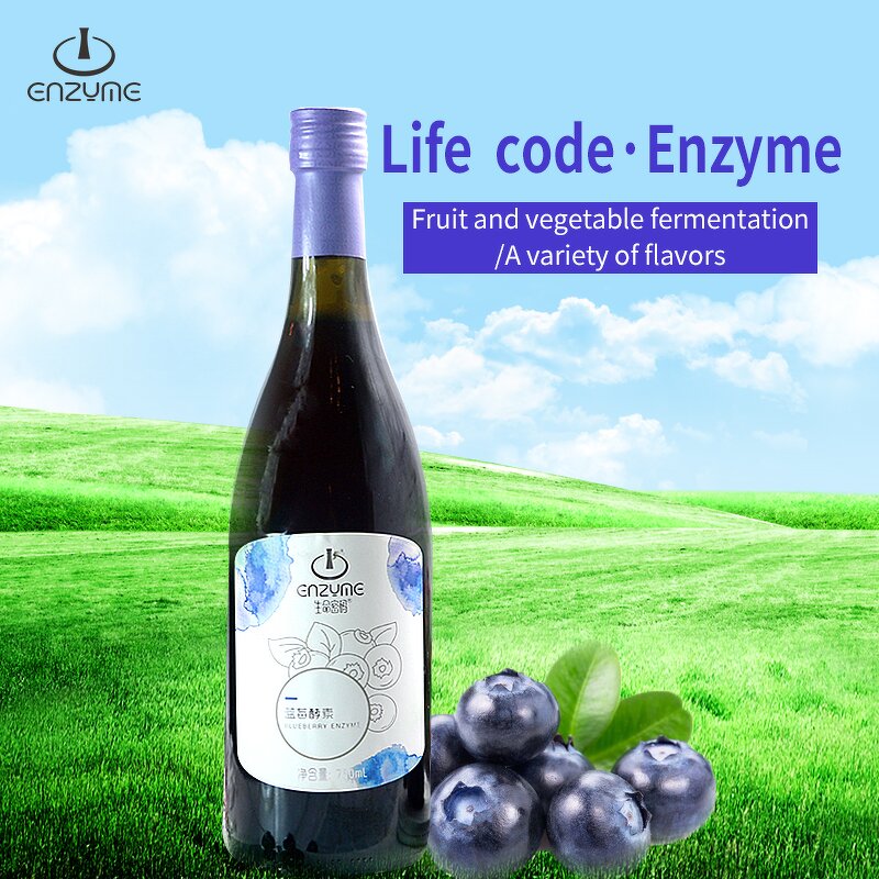 Blueberry Enzyme Supplier - High Quality Fresh Fruit Juice Drinks