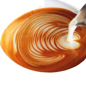 Coffee Beans Manufacturer - Mocha Flavored First Class