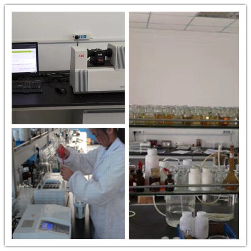 Methoxy Polyethylene Glycol Supplier - MPEG 2400 750 500