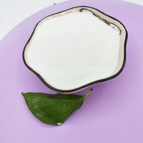 Titanium Dioxide Manufacturer - Rutile Grade Tio2 R218 Powder