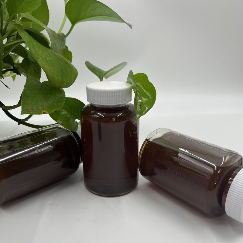 Solvent Violet 8 Manufacturer - CAS 52080-58-7