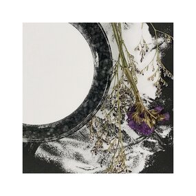 Activated Bleaching Earth Manufacturer - Fuller Clay for Edible Oil