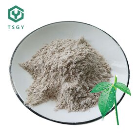 Bleaching Earth Manufacturer - Source Factory Supplier