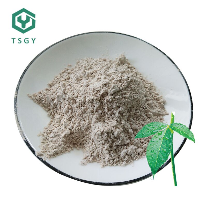 Bleaching Earth Manufacturer - Source Factory Supplier