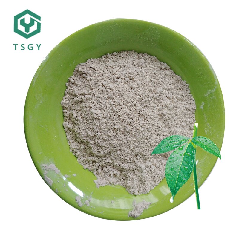 Bleaching Earth Manufacturer - Source Factory Supplier