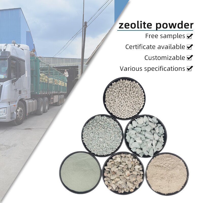 Zeolite Powder Manufacturer - for Water Purification Aquatic Landscape