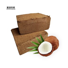 Natural Coco Coir Bricks Manufacturer - Coco Peat Brick 30x30x10cm