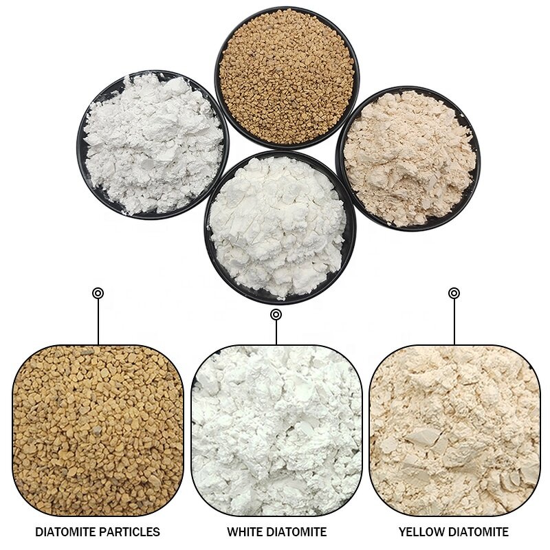 Diatomaceous Earth Supplier - Non-Metallic Mineral Deposit Diatomite