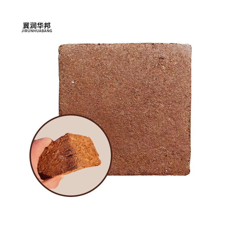 Natural Coco Coir Bricks Manufacturer - Coco Peat Brick 30x30x10cm