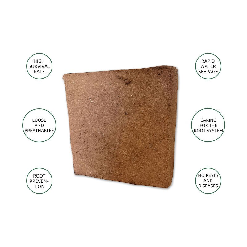 Coco Peat Supplier - 25kg Block for Plants Horticultural Flowers