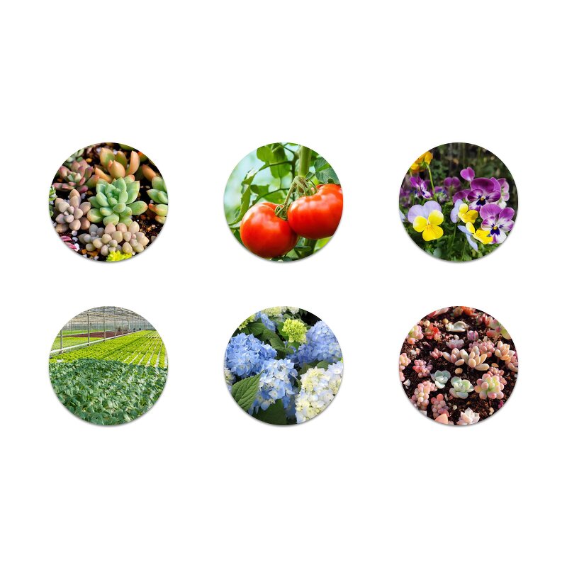 Coco Peat Supplier - 25kg Block for Plants Horticultural Flowers