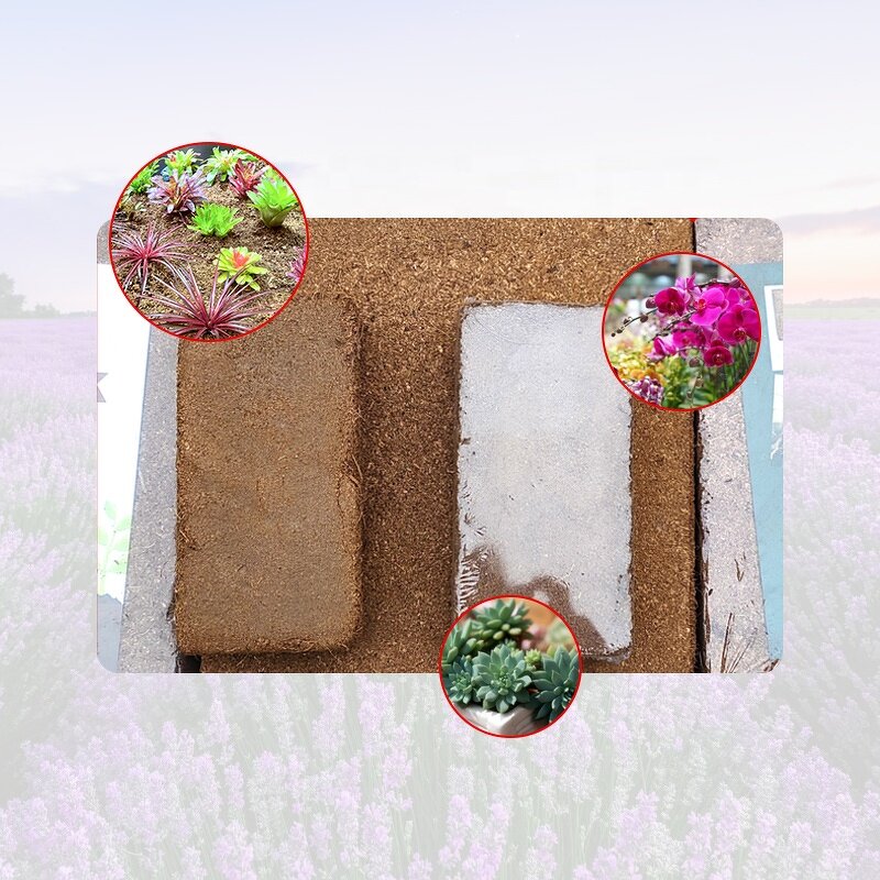 Coconut Coir Bricks Supplier - Wholesale Coconut Fiber Block Cocopeat