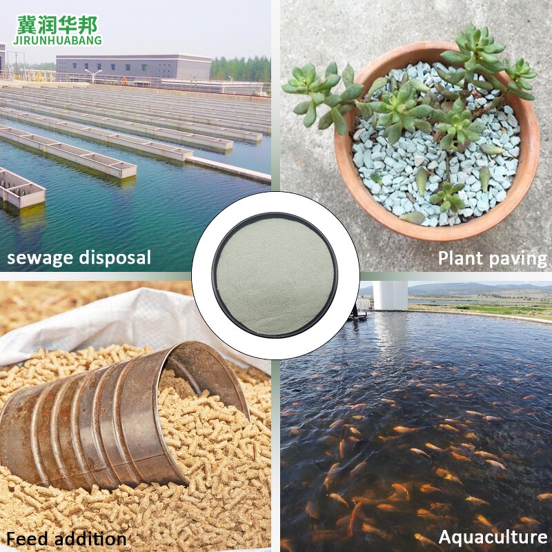 Zeolite Powder Supplier - White Natural High Purity 99% nm Size