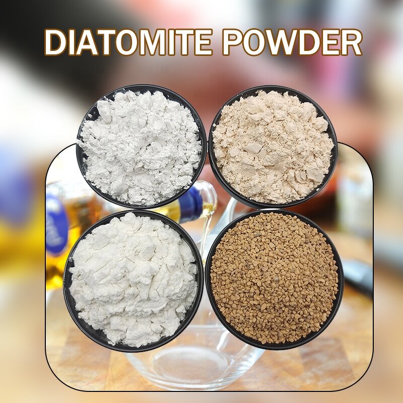Diatomaceous Earth Manufacturer - Kieselguhr Pool Filter Celite