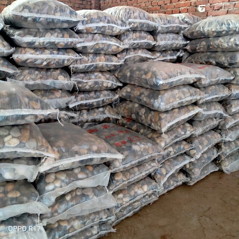 Waterproof Decorative Flakes Supplier - for Nail Art Epoxy Floor