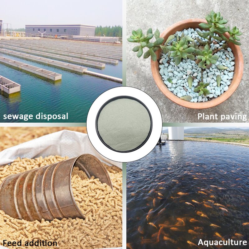 Zeolite Powder Supplier - and Zeolite Particle Building Cement Additive