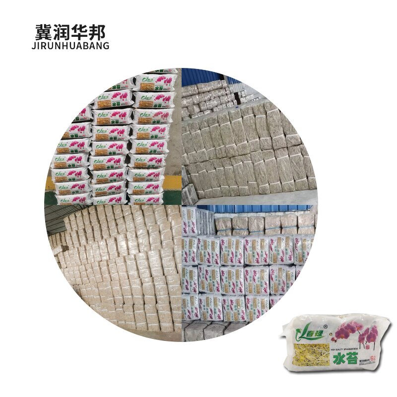 Natural Coconut Coir Supplier - Coco Peat Block for Planting Flowers