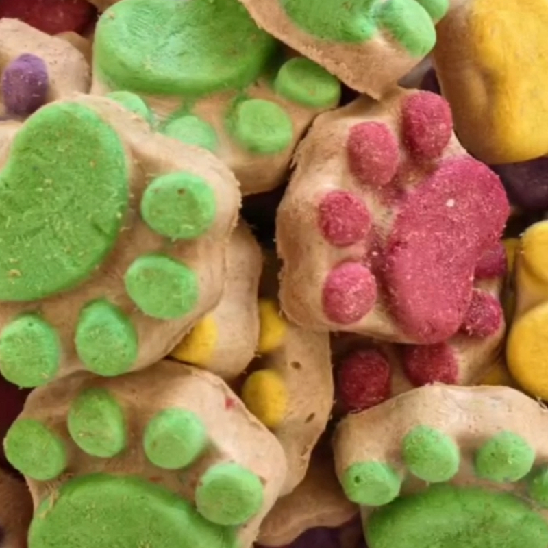 Catnip Supplier - to Train Kittens Stop Damaging Sofa