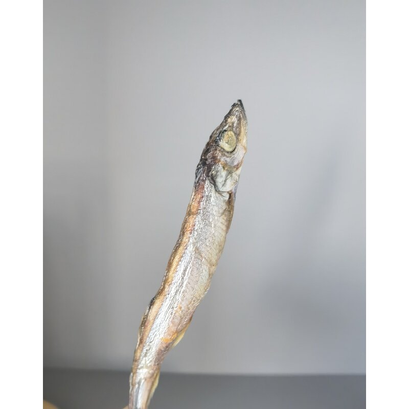 Freeze Dried Capelin Supplier - Treats for Cats Dogs Fish Application