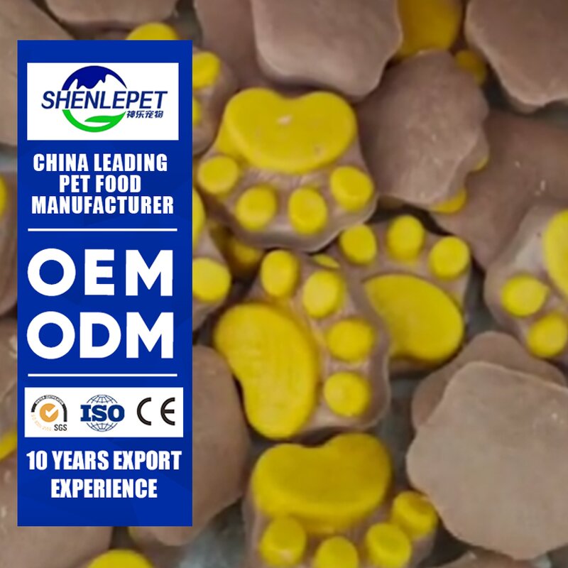 Cat Grooming Glove Manufacturer - Brush Remove Loose Hair