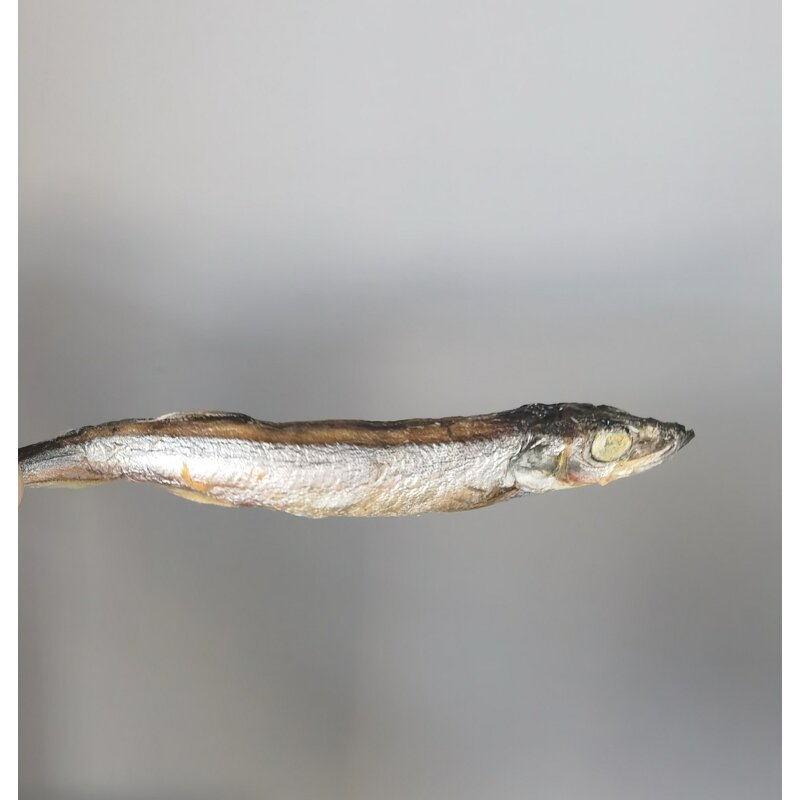 Freeze Dried Capelin Supplier - Treats for Cats Dogs Fish Application