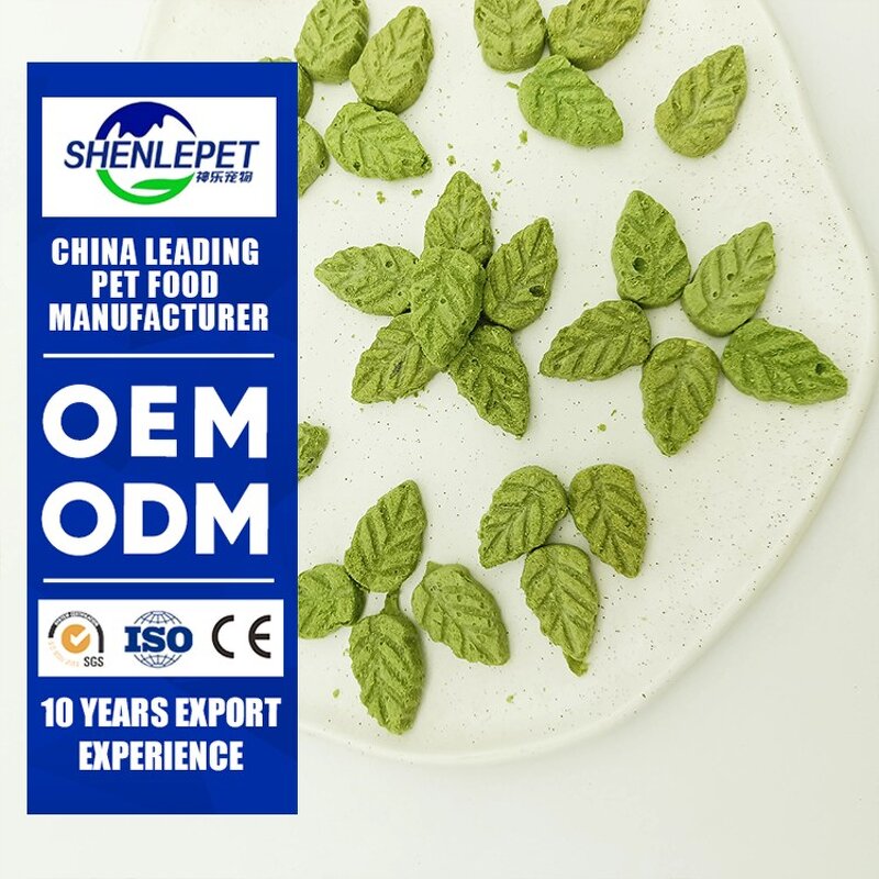Freeze Dried Cat Grass Cookies Supplier - Healthy Natural Ingredients Aid