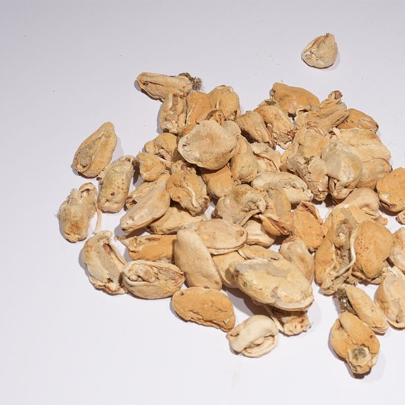 Hypoallergenic Soft Chew Treats Supplier - for Dogs with Arthritis