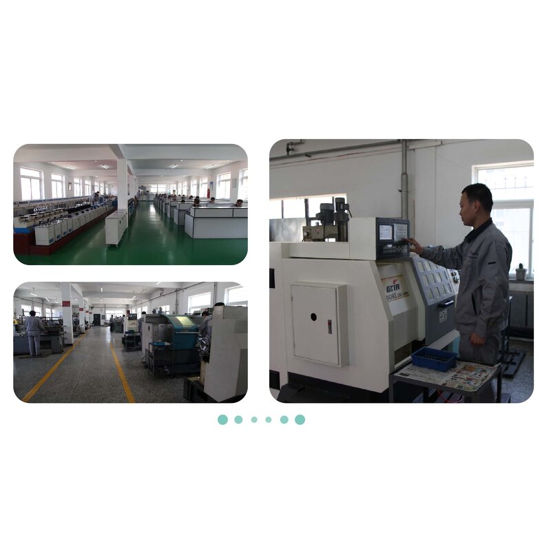 pH Measuring Apparatus Supplier - Microcomputer Titration DZY-ZJ5