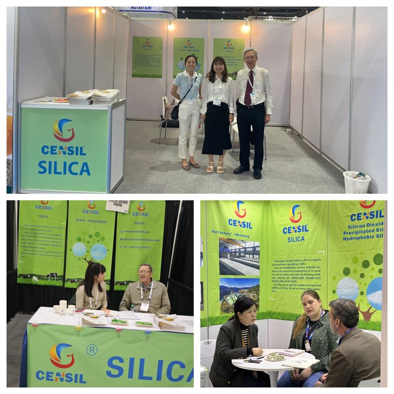 Silicon Dioxide Powder Supplier - Eco-Friendly Feed Grade White Carbon