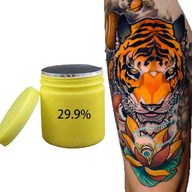 Eco-friendly Materials Permanent Makeup 29.9% Tattoo Cream Body Art Beauty Makeup Pigment for Eyebrow & Lip Tattoo Ink