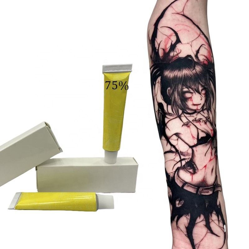 Cheap Wholesale Available Products Skin Care Products Tattoo Accessories Tattoo Cream Professional Micropigmentation Kit