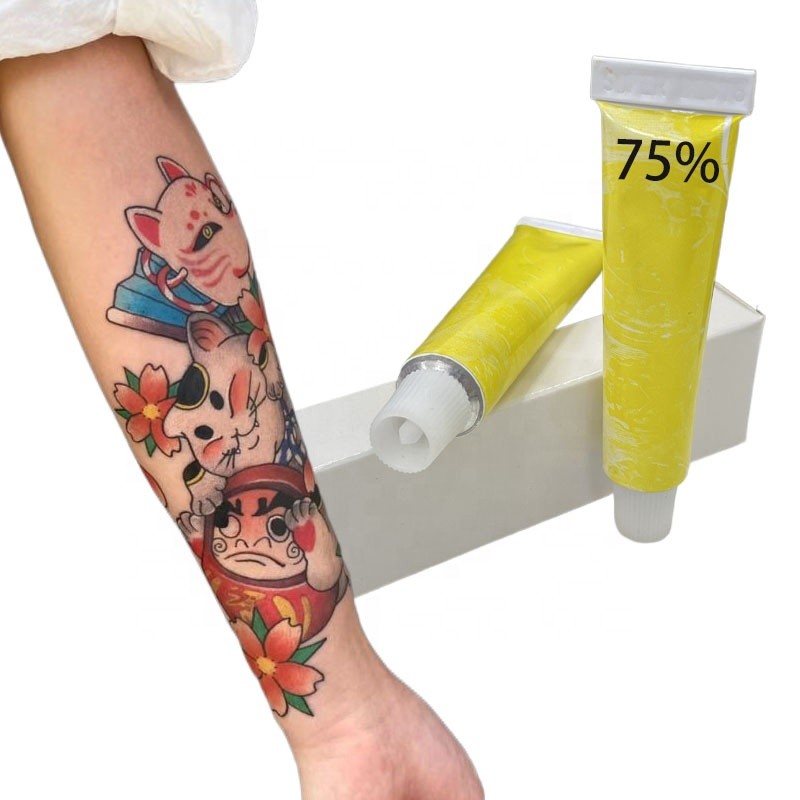 Professional Service Tattoo Aftercare Products Makeup Supplies 75% Tattoo Cream Ink Pmu Pigment for Eyebrow Micropigmentation