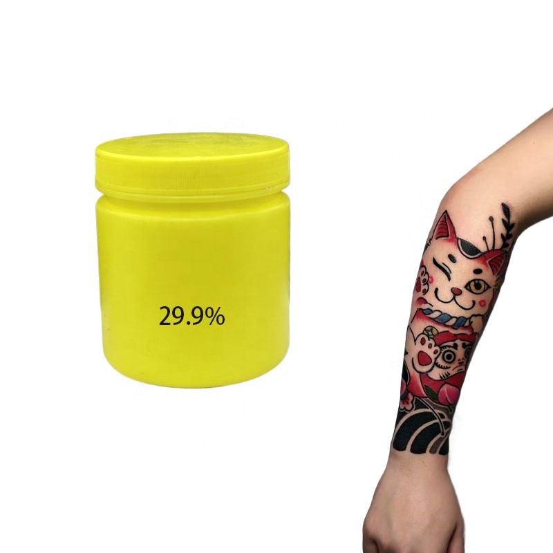 2025 Wholesale New Design Tattoo Kit Pmu Supplies 29.9% Tattoo Cream Eyebrow Microblading Eyebrow Microblading Pigment