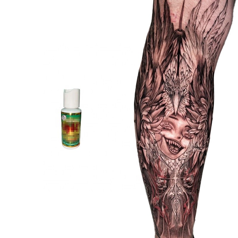 Customized New Product Tattoo Kits and Supplies Tattoo Cream Pigment with High Retention and Longevity Pigment Ink