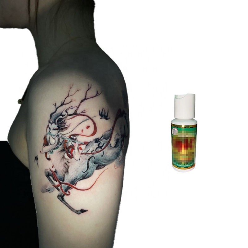 Customized New Product Tattoo Kits and Supplies Tattoo Cream Pigment with High Retention and Longevity Pigment Ink