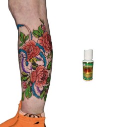 Wholesale of New Materials Tattoo Supplies Tattoo White Cream Micropigmentation for Lip & Eyebrow Pmu Pigment Lips Packages