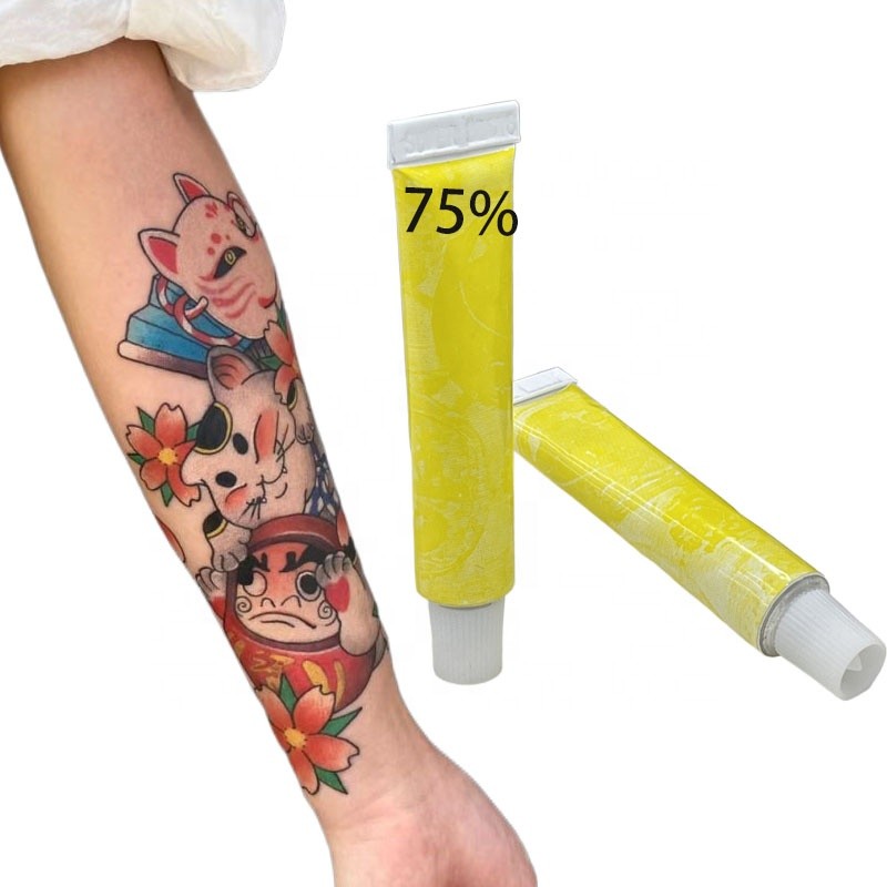 Professional Service Tattoo Aftercare Products Makeup Supplies 75% Tattoo Cream Ink Pmu Pigment for Eyebrow Micropigmentation