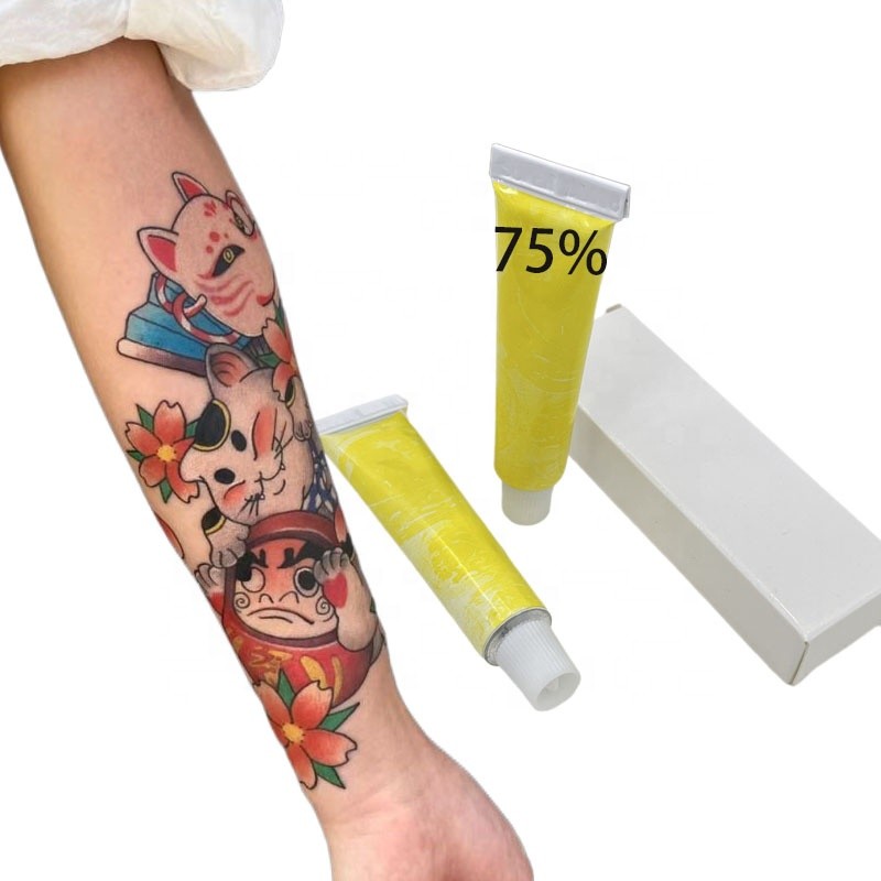 Professional Service Tattoo Aftercare Products Makeup Supplies 75% Tattoo Cream Ink Pmu Pigment for Eyebrow Micropigmentation